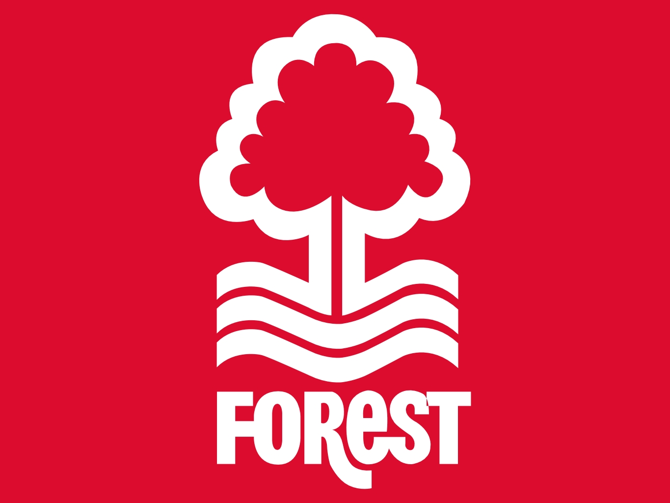 JUST IN; Nottingham Forest should not get points deduction for ‘minor breach’ – ex-PL CEO