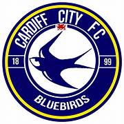 READ ALSO; Weston AFC draw pre-season friendly with Cardiff City U21’s.